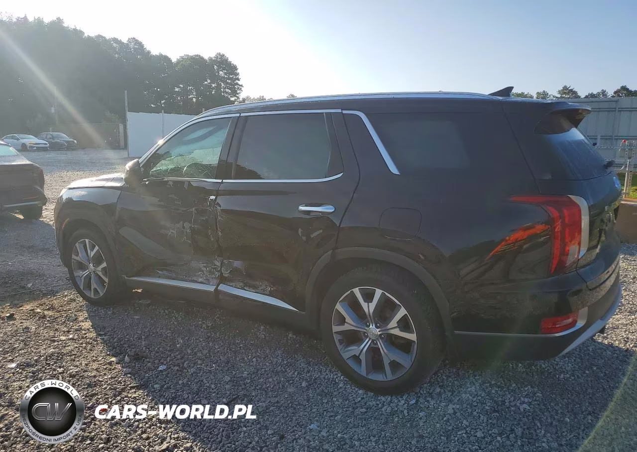 2020 Hyundai Palisade Sel VIN:KM8R44HE5LU142629 - 2