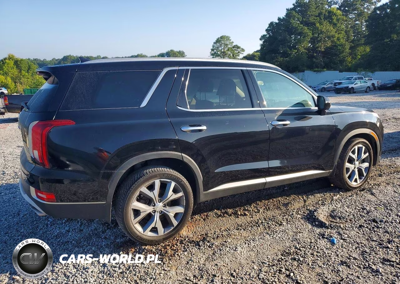 2020 Hyundai Palisade Sel VIN:KM8R44HE5LU142629 - 3