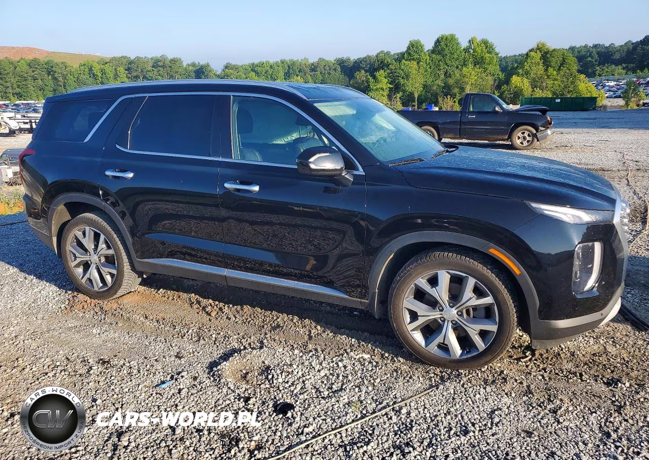 2020 Hyundai Palisade Sel VIN:KM8R44HE5LU142629 - 4