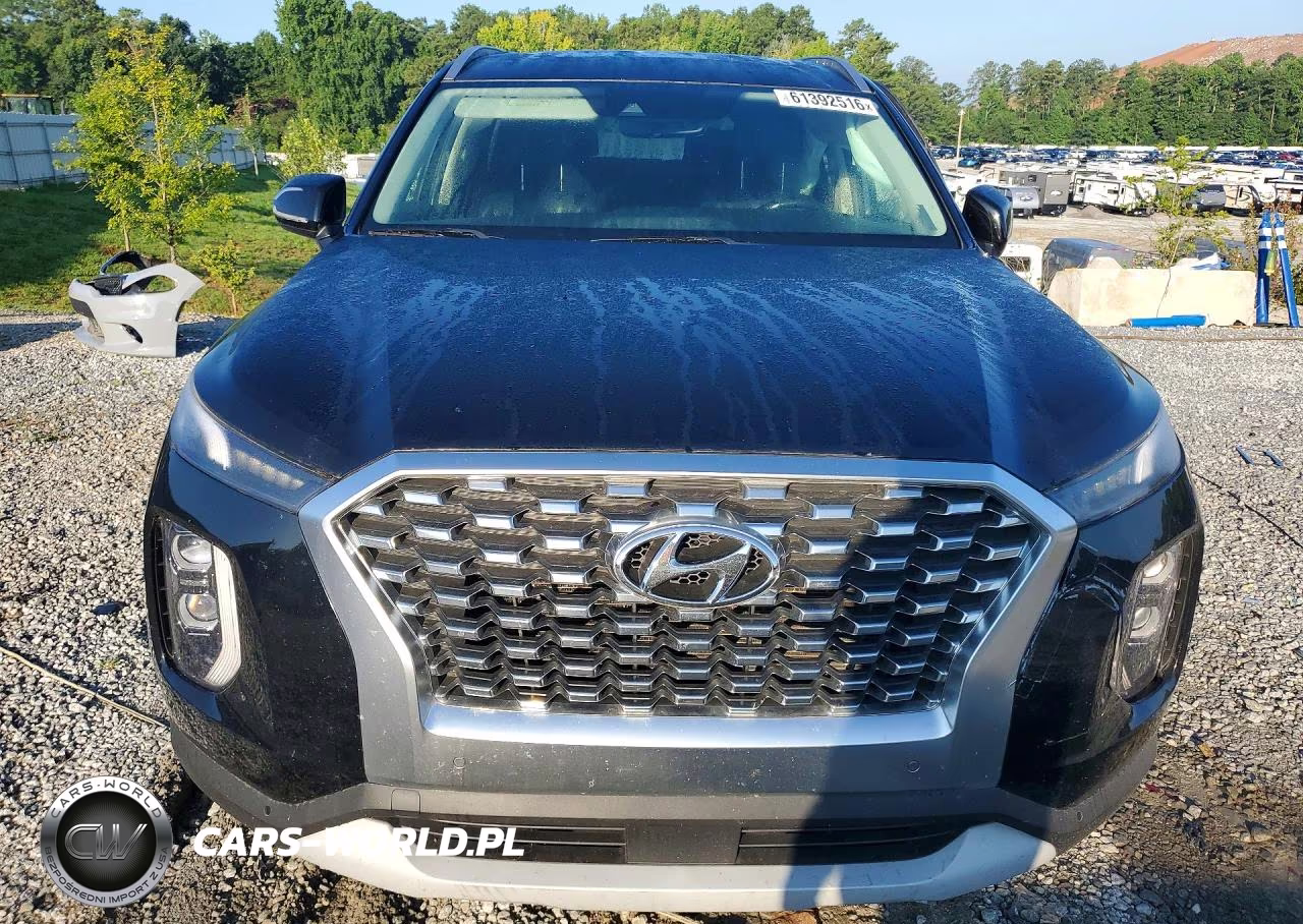 2020 Hyundai Palisade Sel VIN:KM8R44HE5LU142629 - 5