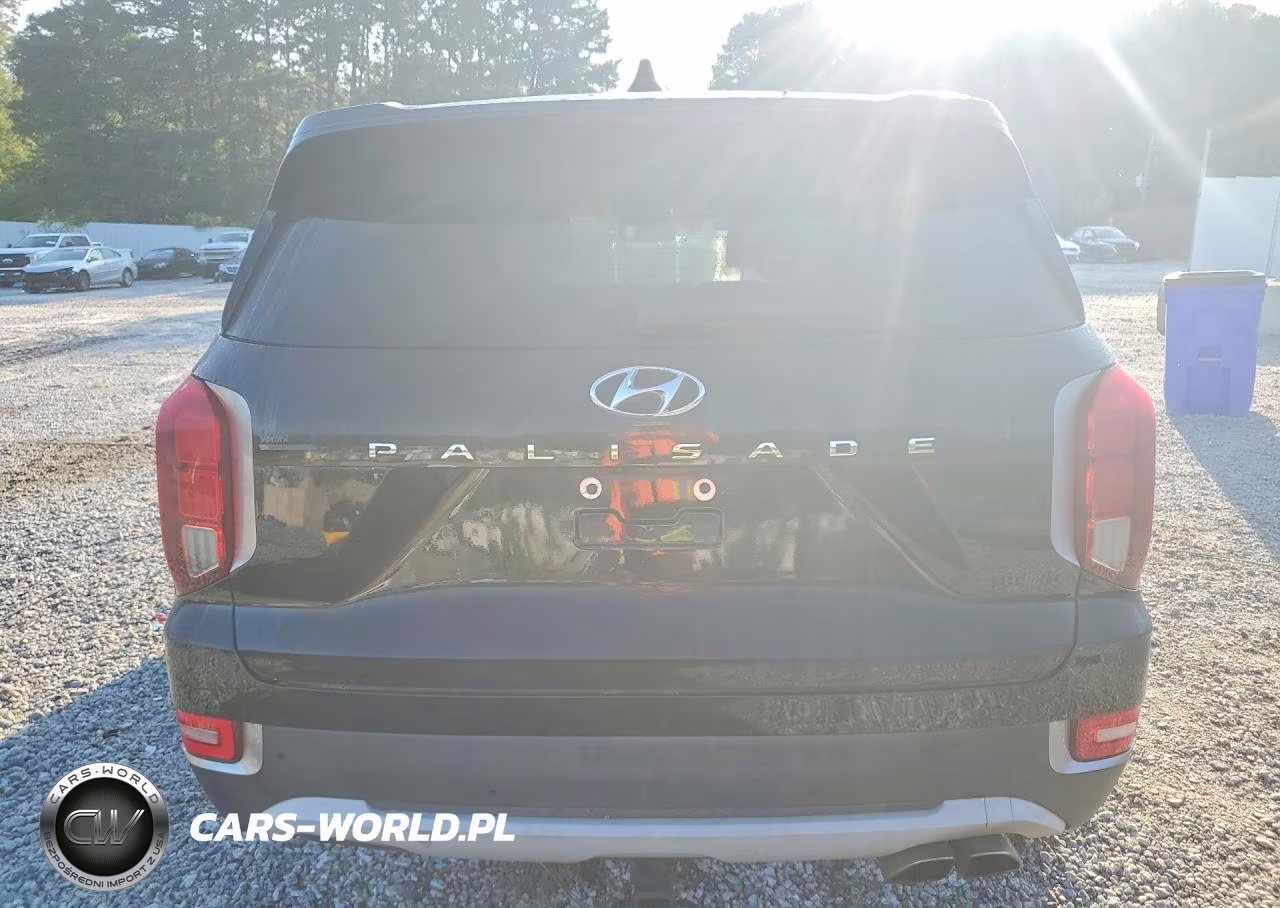 2020 Hyundai Palisade Sel VIN:KM8R44HE5LU142629 - 6