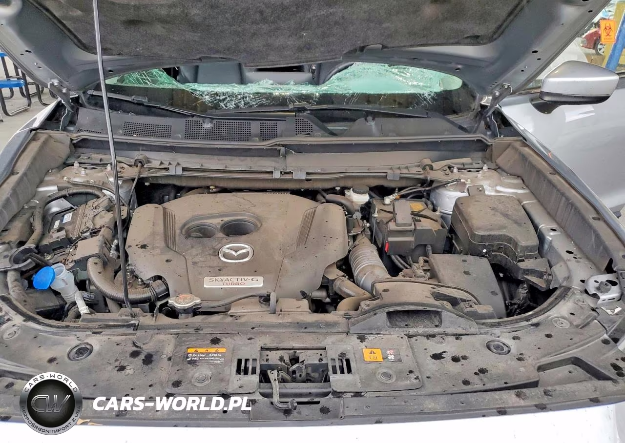 2023 Mazda Cx-9 Touring VIN:JM3TCBCY6P0652916 - 12