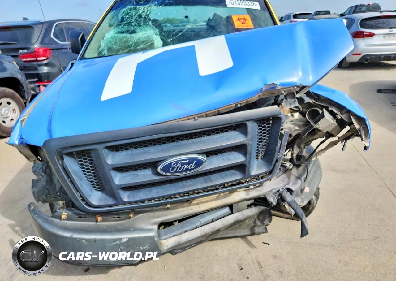 2005 Ford F150 VIN:1FTRF12275NC08445 - 11