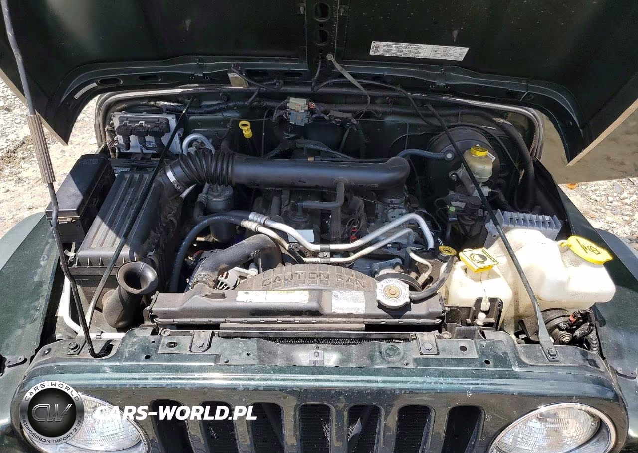 2004 Jeep Wrangler X VIN:1J4FA39S94P715380 - 12