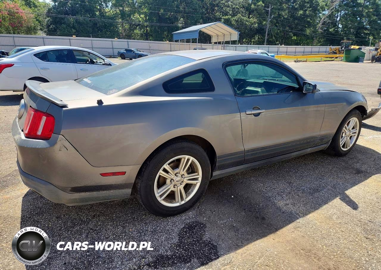 2011 Ford Mustang VIN:1ZVBP8AM8B5135296 - 3