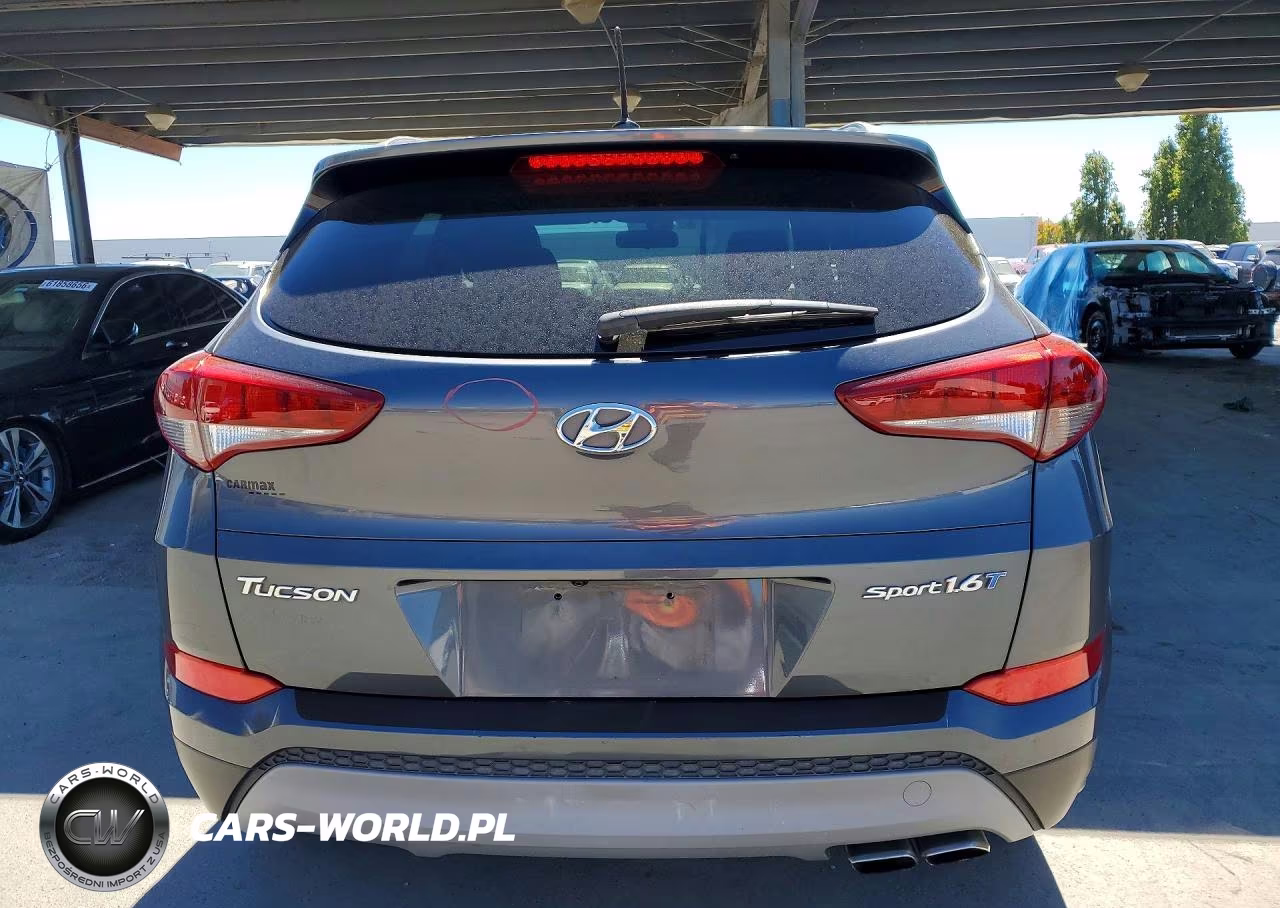 2017 Hyundai Tucson Sport VIN:KM8J33A28HU389421 - 6