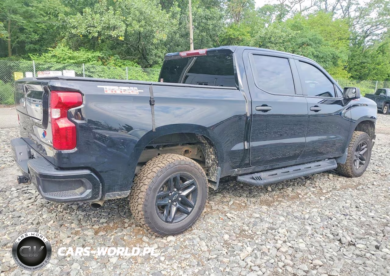 2023 Chevrolet Silverado K1500 Trail Boss Custom VIN:3GCPDCEK7PG359589 - 3