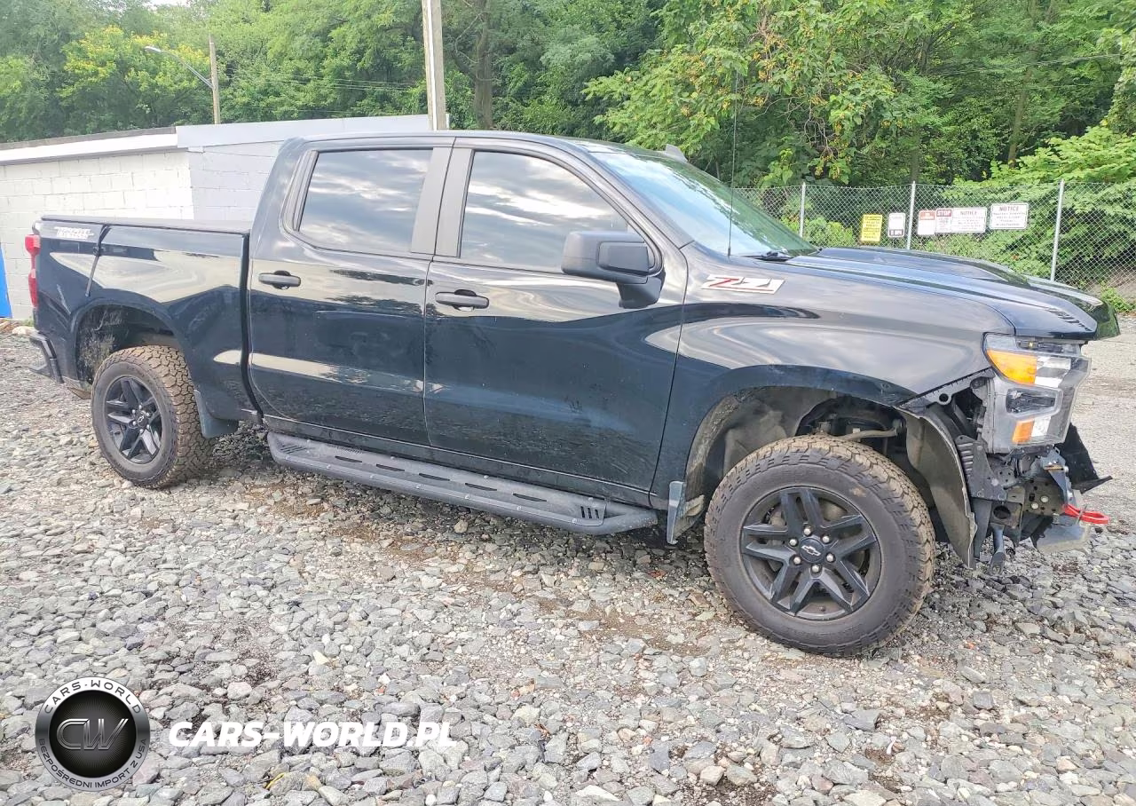 2023 Chevrolet Silverado K1500 Trail Boss Custom VIN:3GCPDCEK7PG359589 - 4