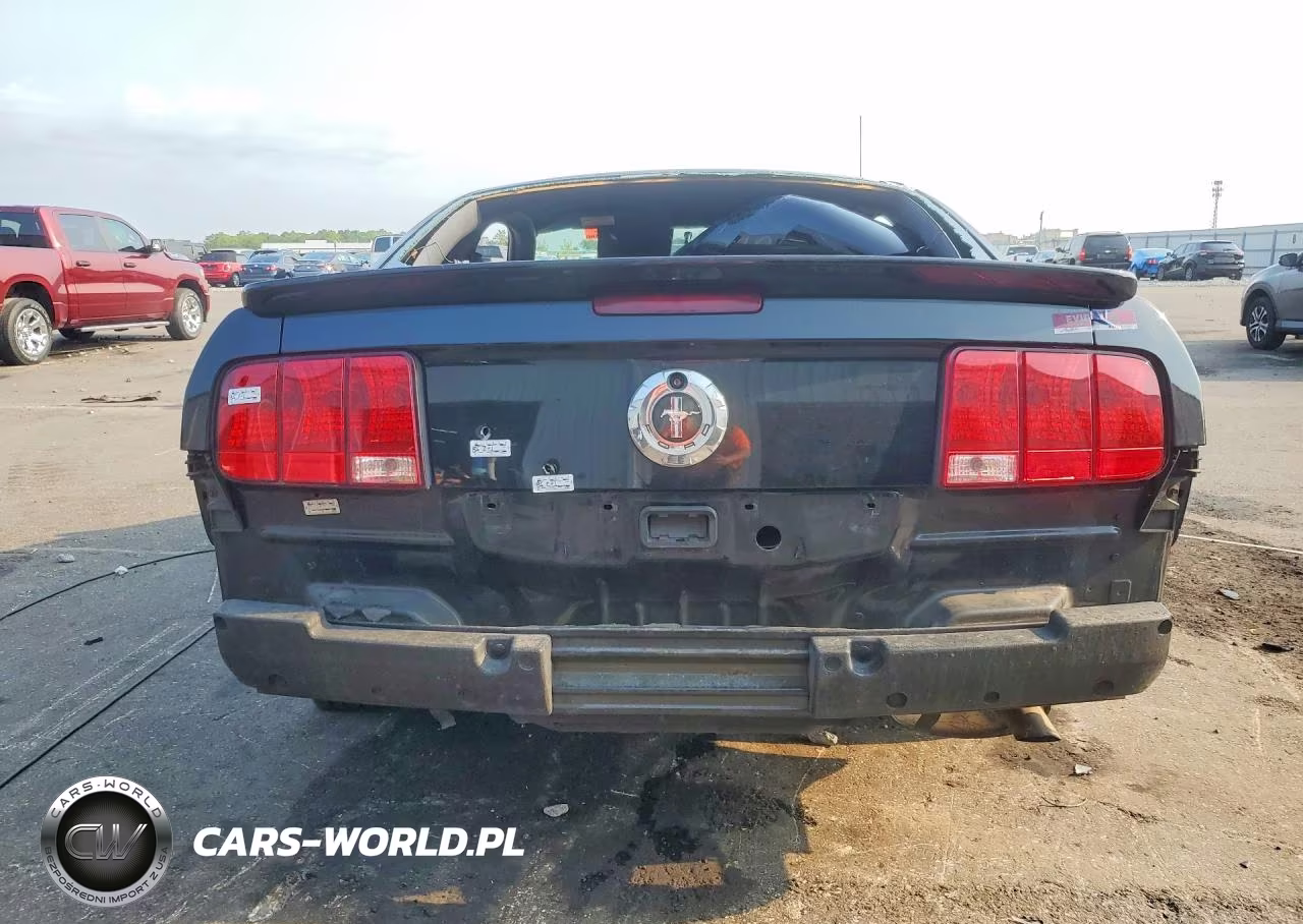 2007 Ford Mustang VIN:1ZVHT80N775366889 - 6