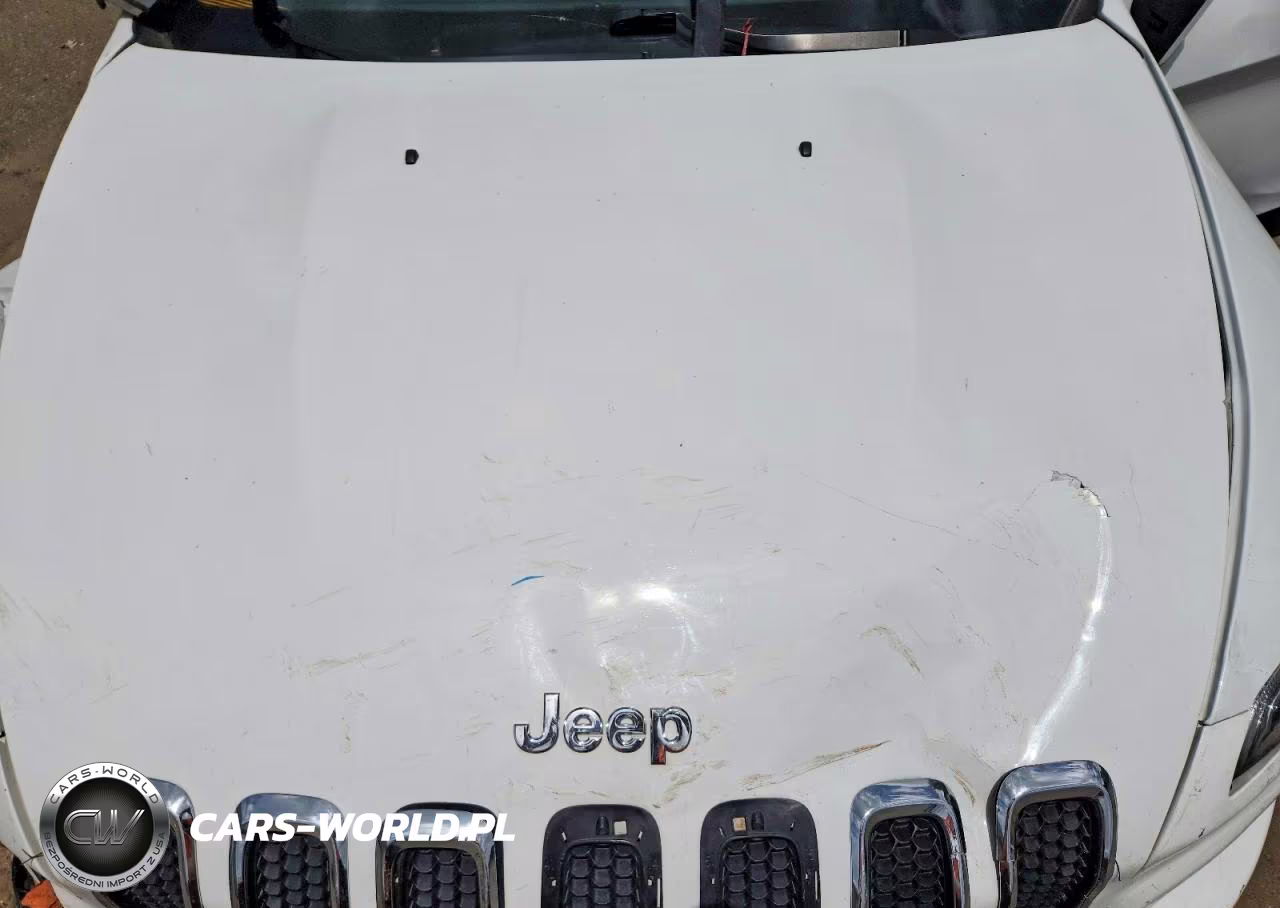 2016 Jeep Cherokee Limited VIN:1C4PJMDB9GW175241 - 12