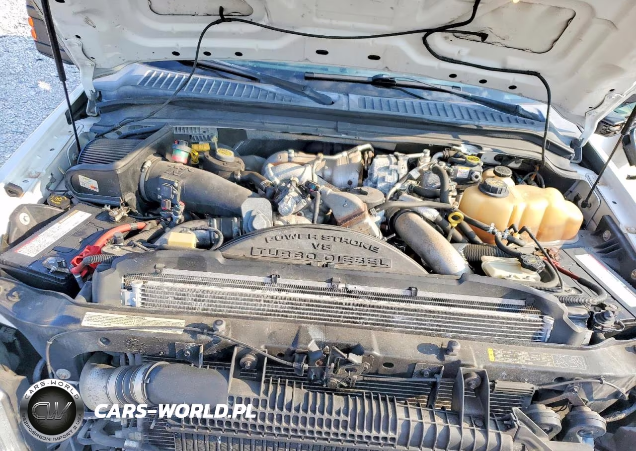 2010 Ford F350 Super Duty VIN:1FTWW3DR1AEB28335 - 11
