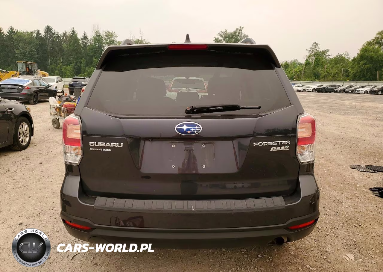 2017 Subaru Forester 2.5I Premium VIN:JF2SJAEC4HH574100 - 6