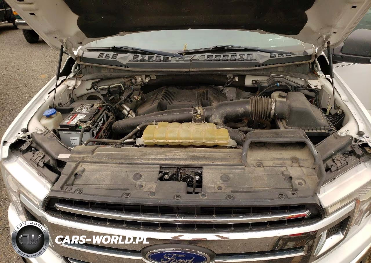 2019 Ford F150 Supercrew VIN:1FTFW1E41KKD91015 - 11