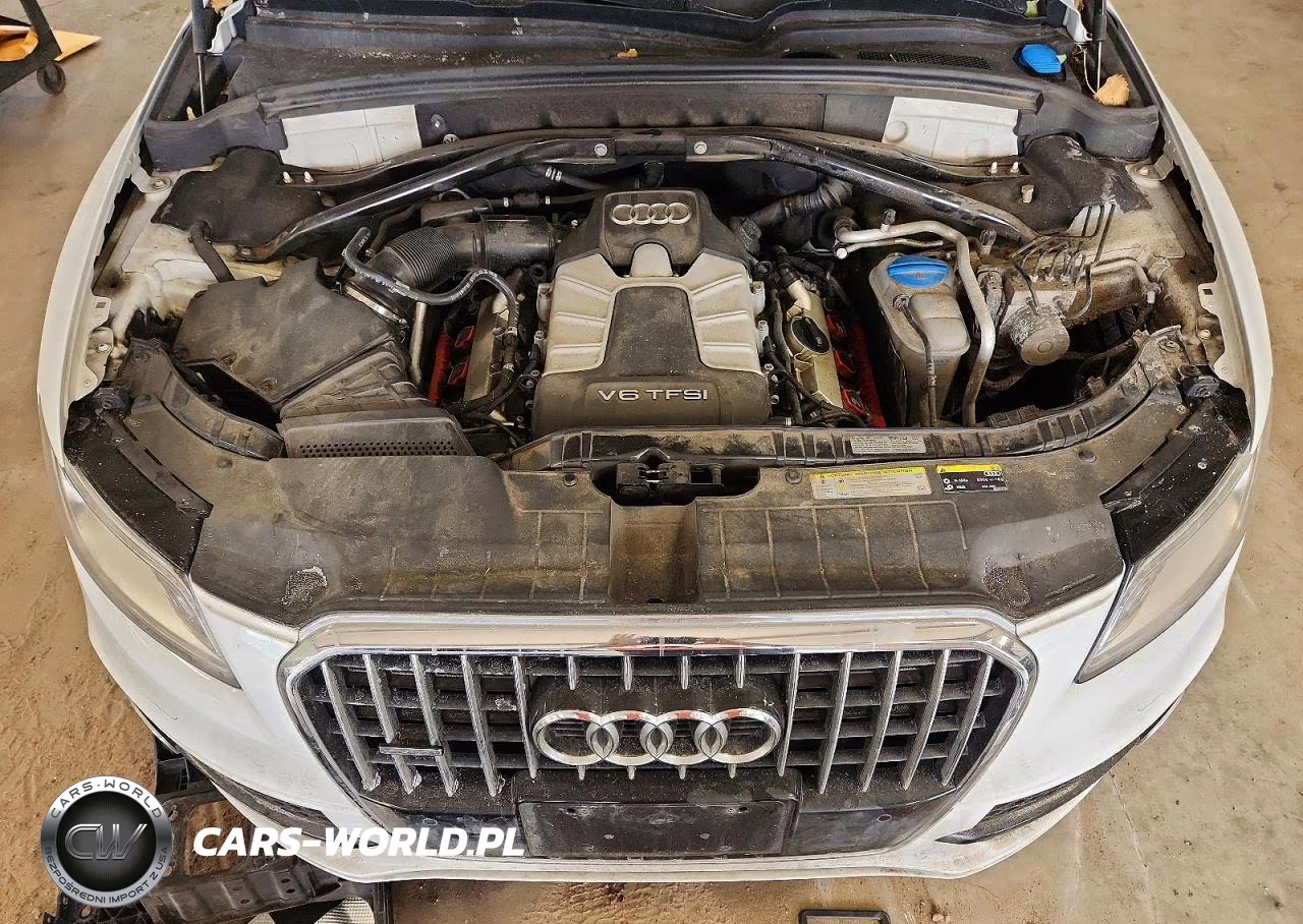 2013 Audi Q5 Premium Plus VIN:WA1DGAFP1DA033297 - 12