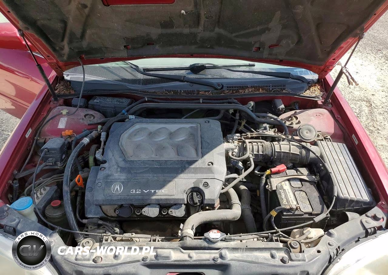 1999 Acura 3.2Tl VIN:19UUA5642XA046859 - 11