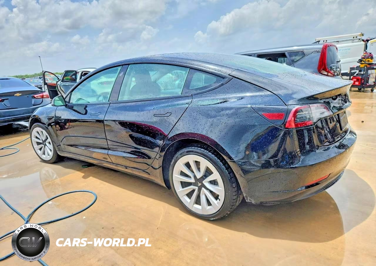 2022 Tesla Model 3 VIN:5YJ3E1EAXNF369303 - 2
