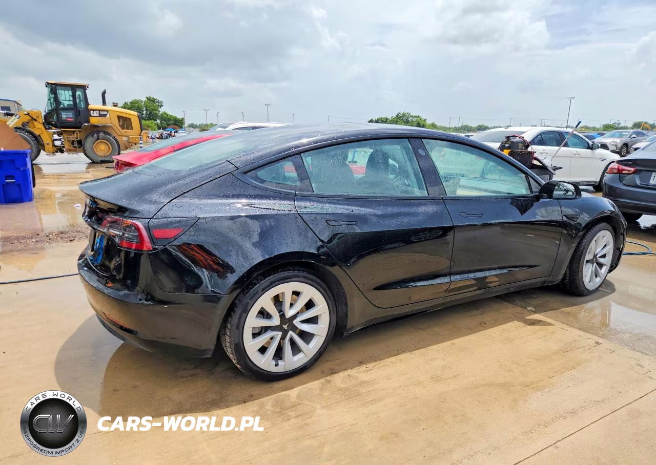 2022 Tesla Model 3 VIN:5YJ3E1EAXNF369303 - 3