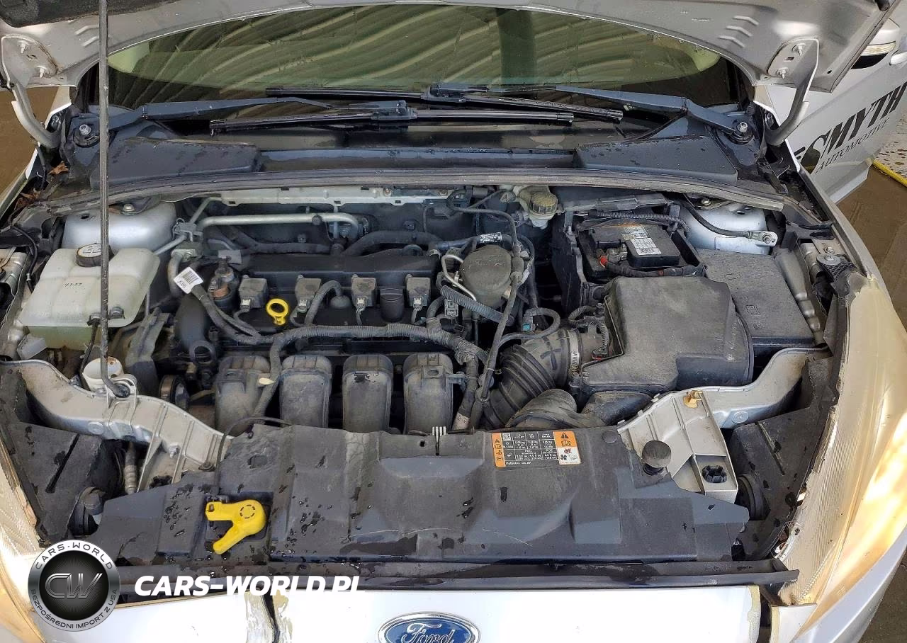 2016 Ford Focus Se VIN:1FADP3K20GL247546 - 11