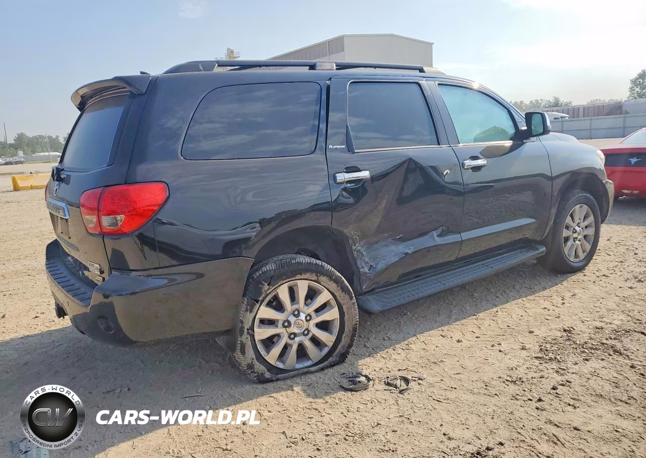 2016 Toyota Sequoia Platinum VIN:5TDDW5G17GS142638 - 3