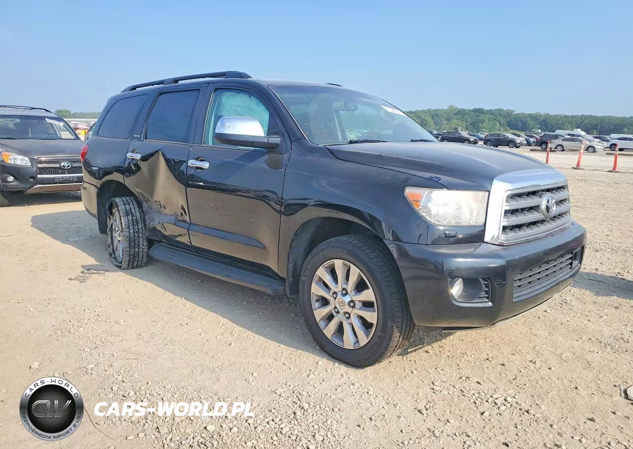 2016 Toyota Sequoia Platinum VIN:5TDDW5G17GS142638 - 4