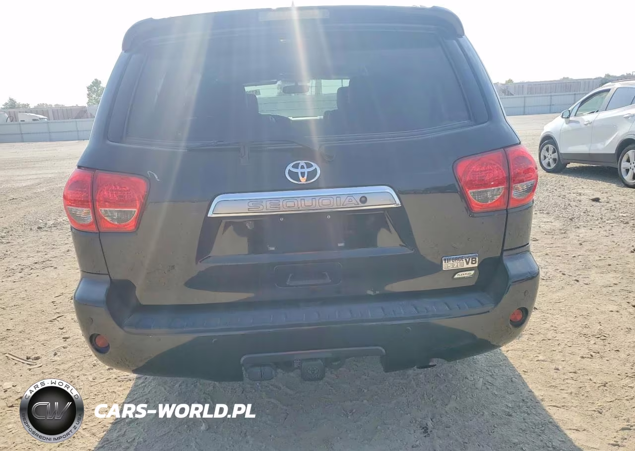 2016 Toyota Sequoia Platinum VIN:5TDDW5G17GS142638 - 6