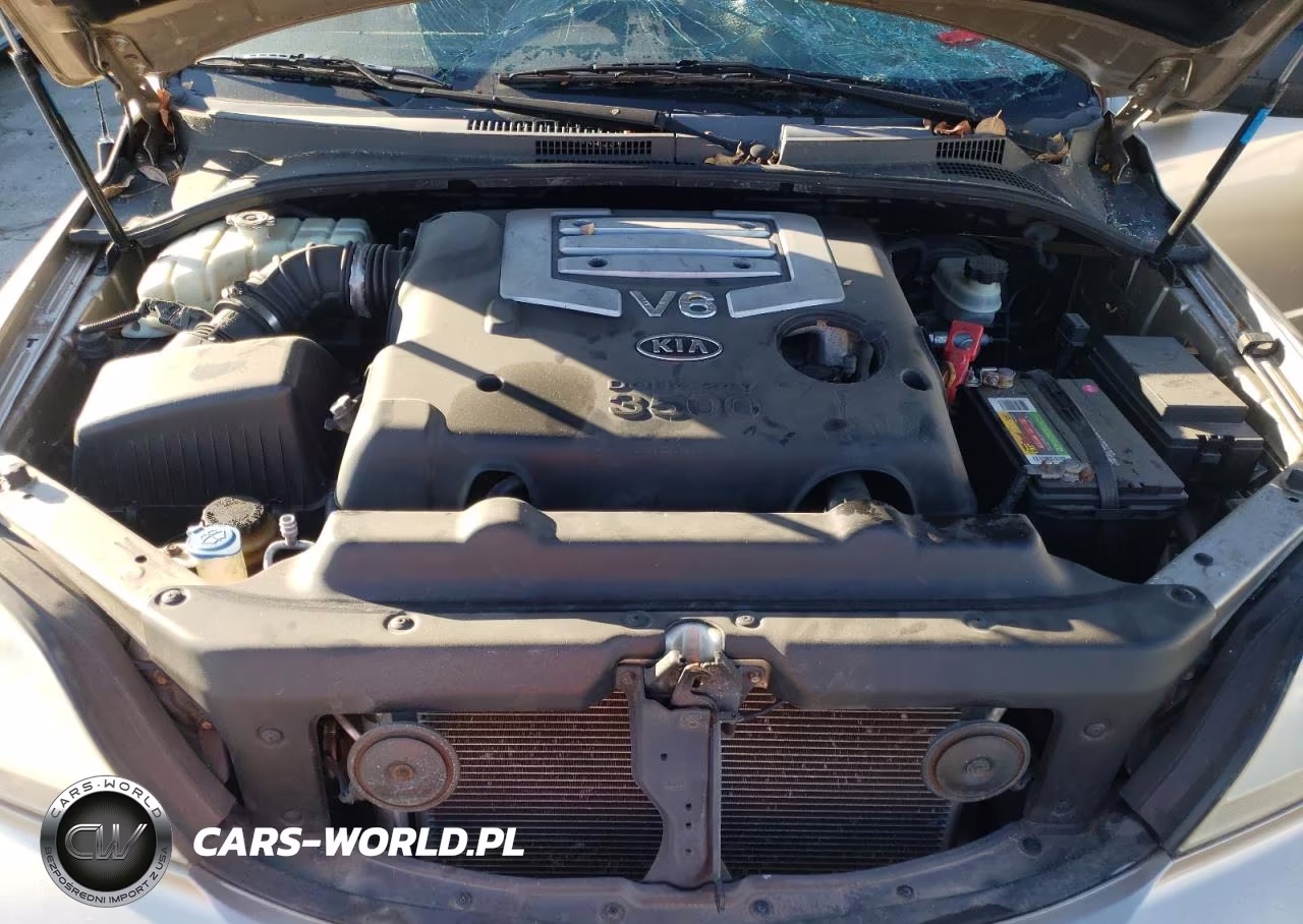2004 Kia Optima Lx VIN:KNDJC733645255965 - 13