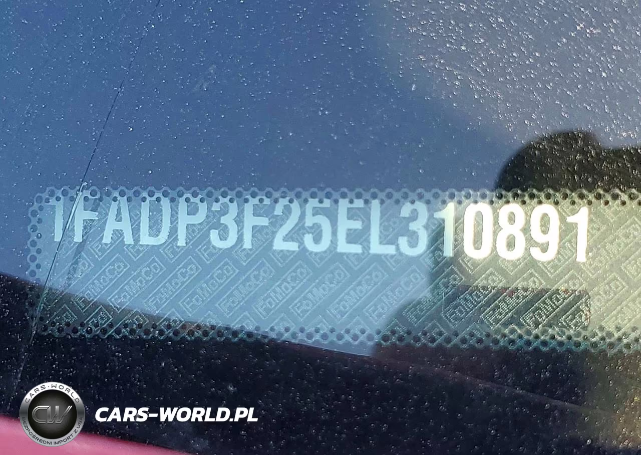 2014 Ford Focus Se VIN:1FADP3F25EL310891 - 12