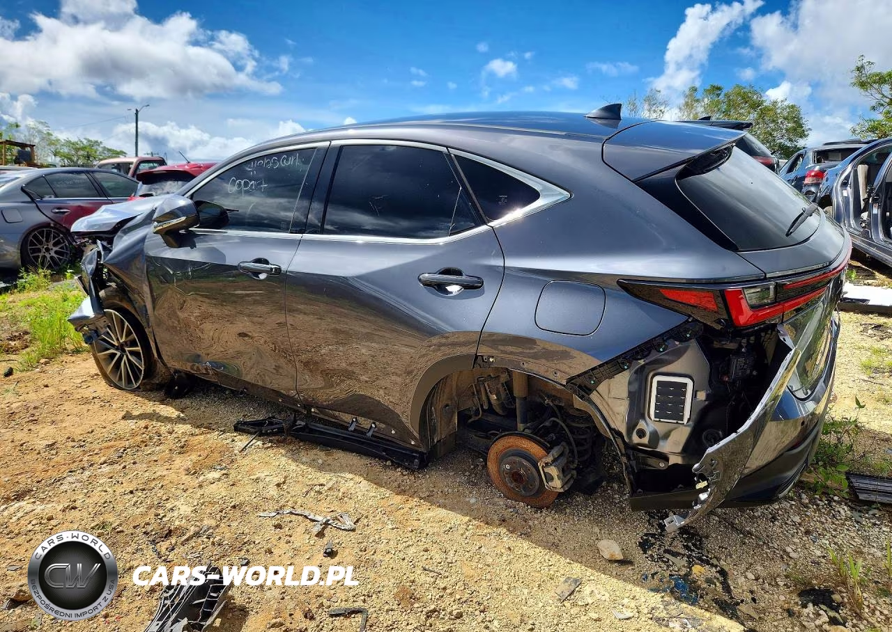 2024 Lexus Nx 250 Premium VIN:JTJGDCAZ8R2010534 - 2