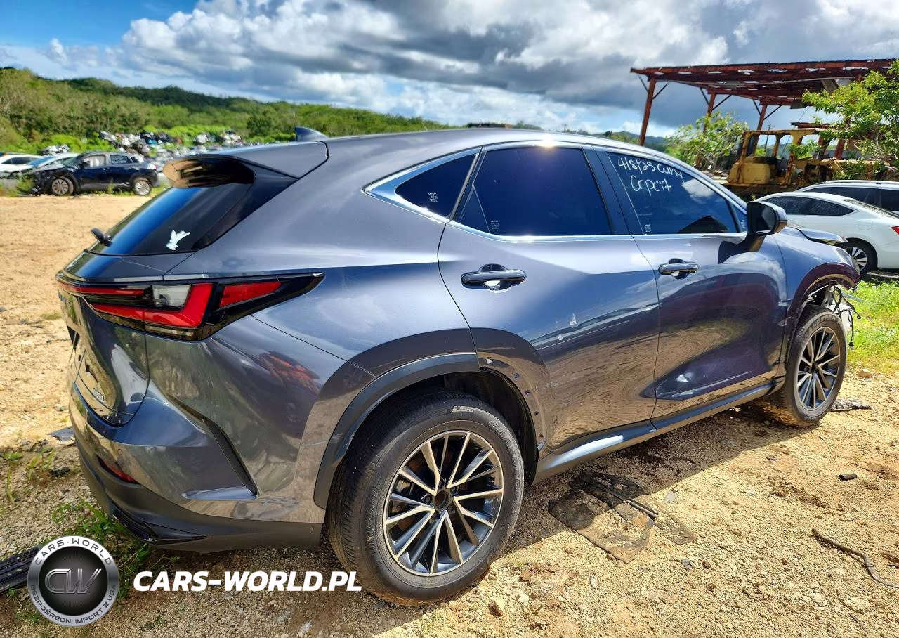 2024 Lexus Nx 250 Premium VIN:JTJGDCAZ8R2010534 - 3