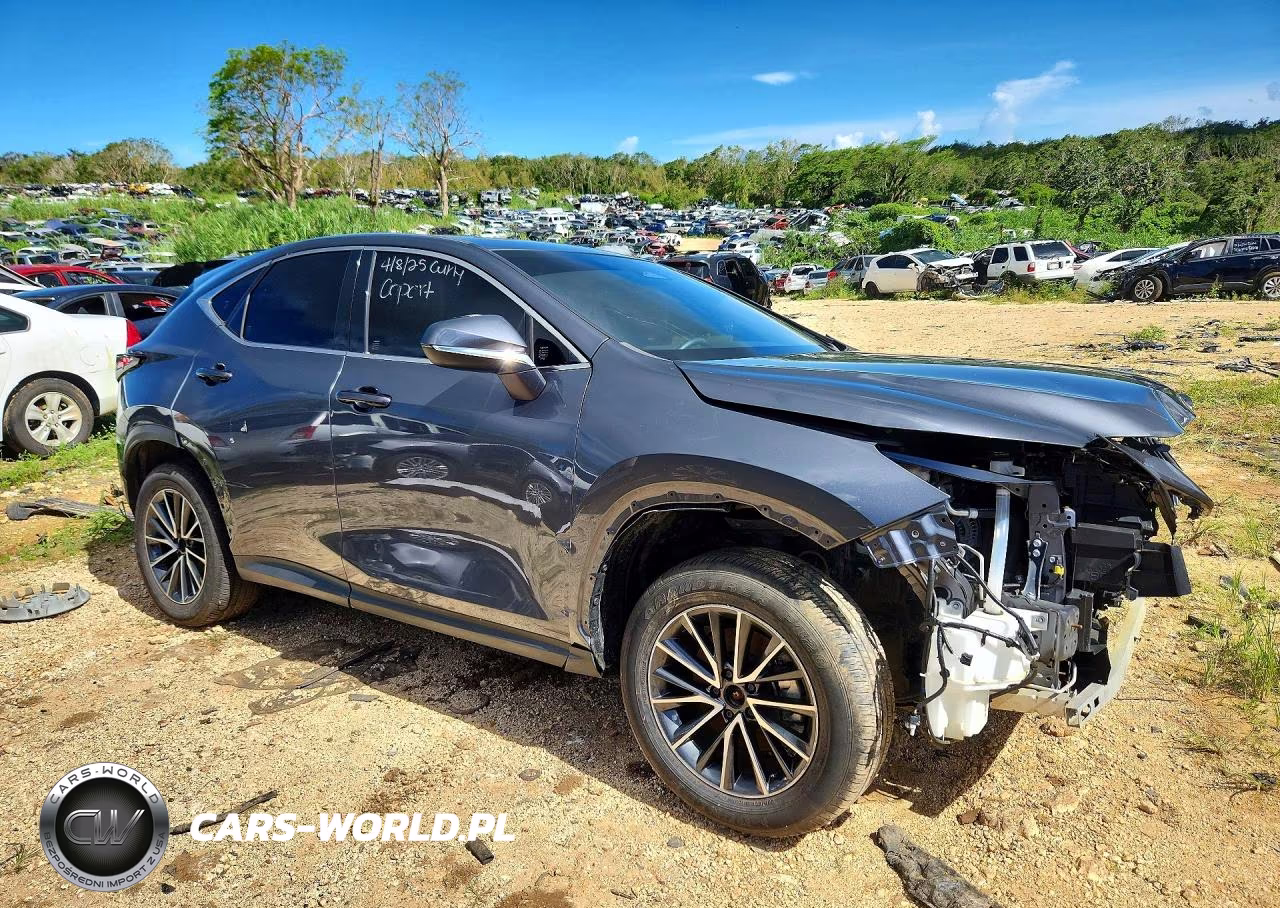 2024 Lexus Nx 250 Premium VIN:JTJGDCAZ8R2010534 - 4