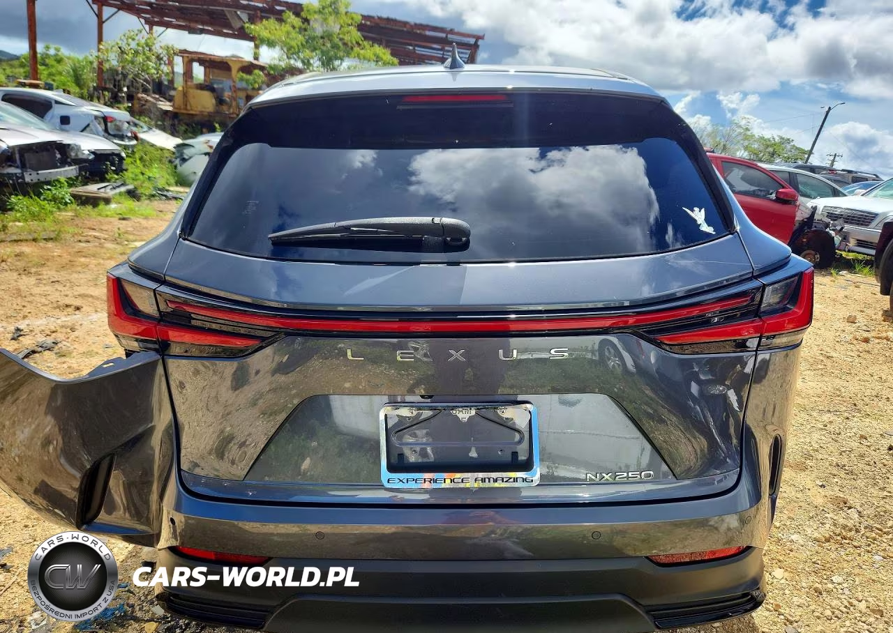 2024 Lexus Nx 250 Premium VIN:JTJGDCAZ8R2010534 - 6