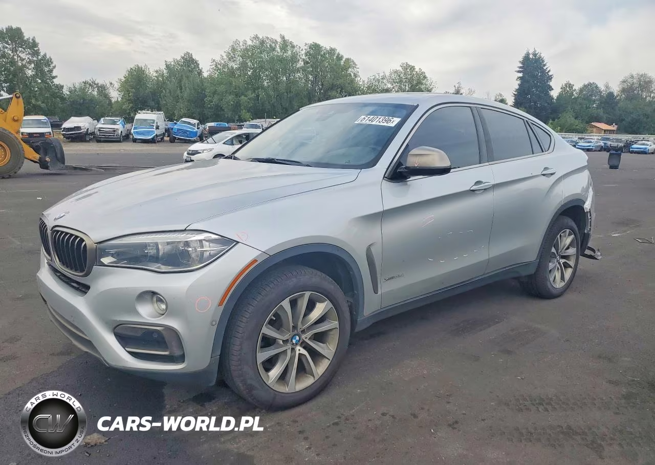 2019 BMW X6 xDrive35I VIN:5UXKU2C51K0Z63491 - 1