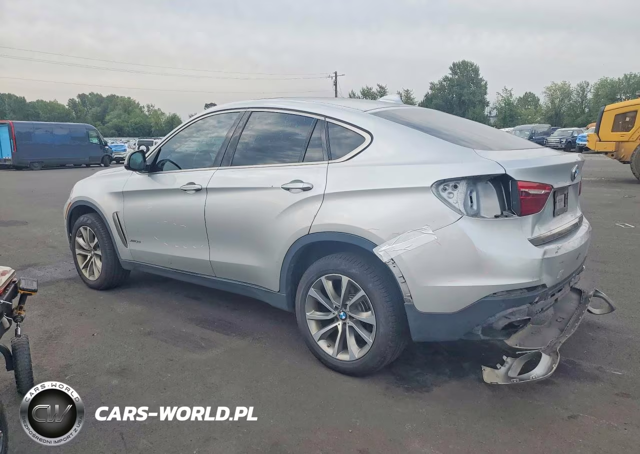 2019 BMW X6 xDrive35I VIN:5UXKU2C51K0Z63491 - 2