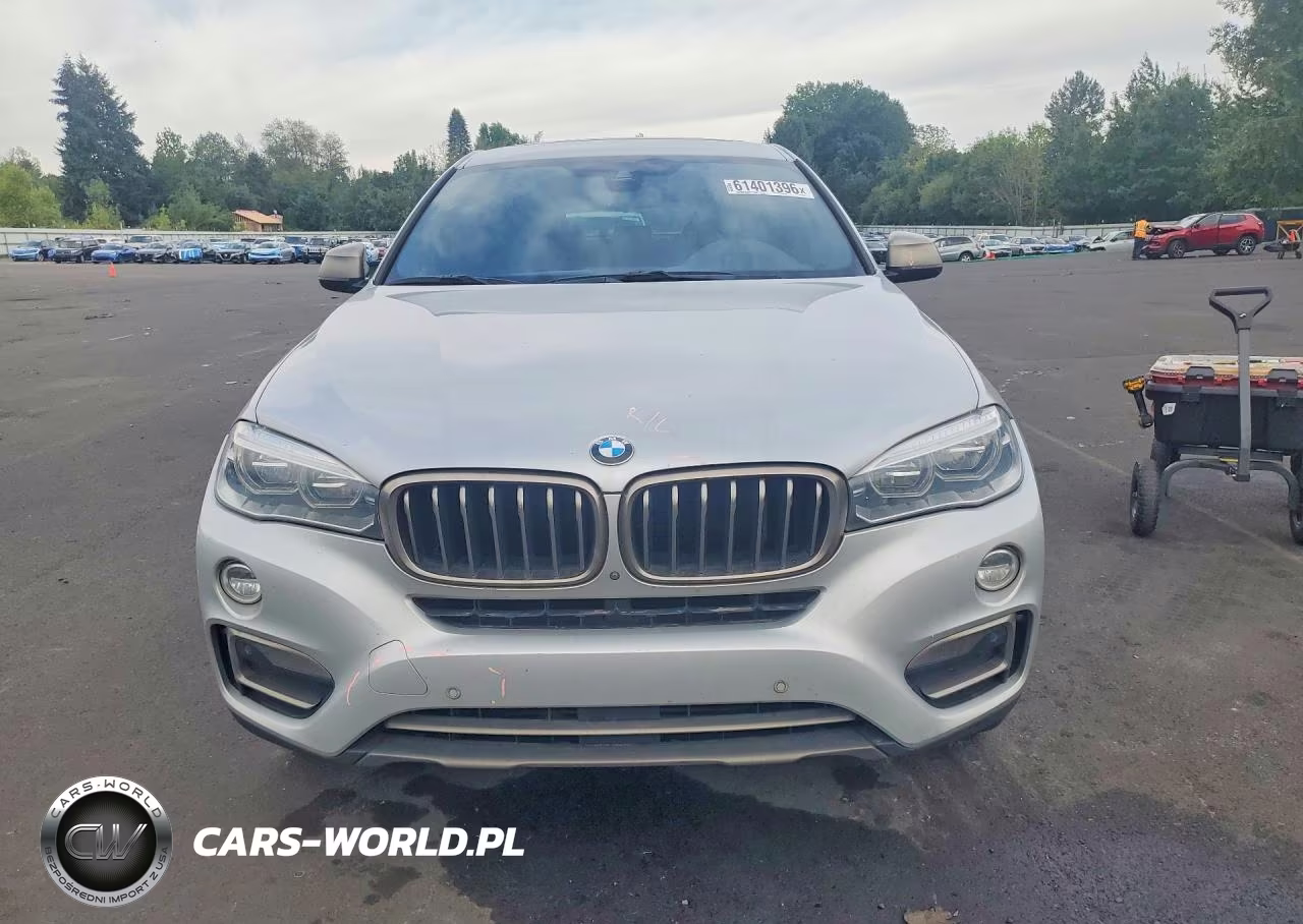 2019 BMW X6 xDrive35I VIN:5UXKU2C51K0Z63491 - 5