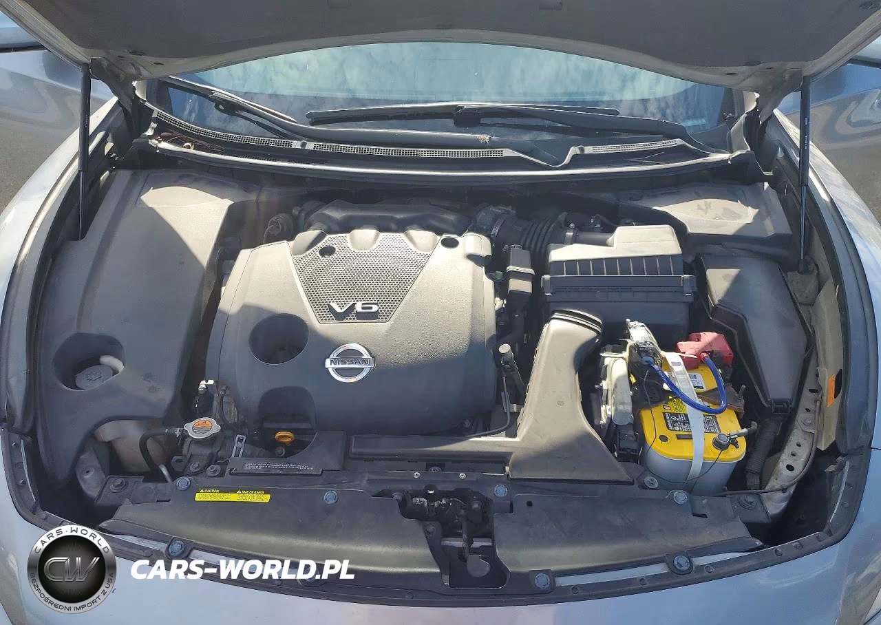 2009 Nissan Maxima 3.5 S VIN:1N4AA51E09C824669 - 11
