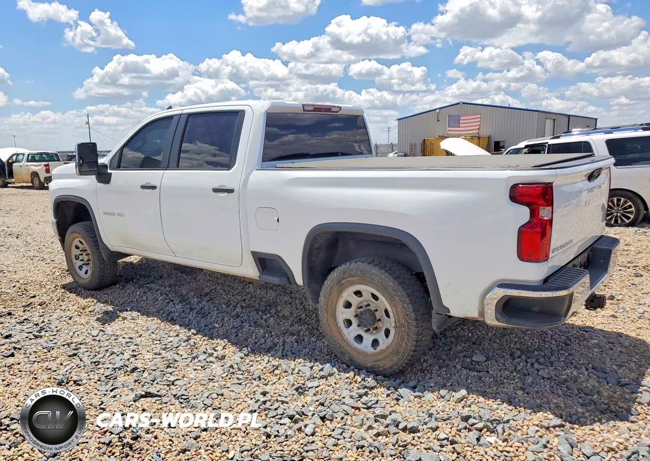 2020 Chevrolet Silverado K2500 Heavy Duty VIN:1GC4YLE74LF146923 - 2