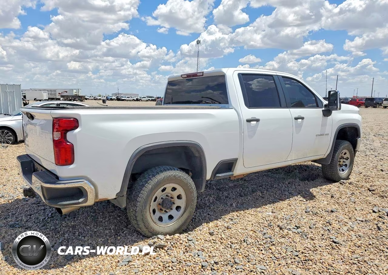 2020 Chevrolet Silverado K2500 Heavy Duty VIN:1GC4YLE74LF146923 - 3