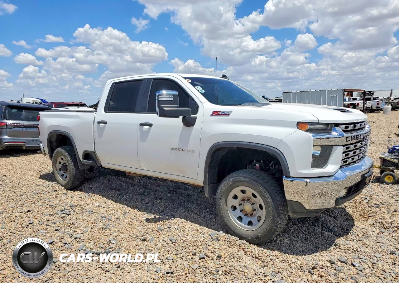 2020 Chevrolet Silverado K2500 Heavy Duty VIN:1GC4YLE74LF146923 - 4