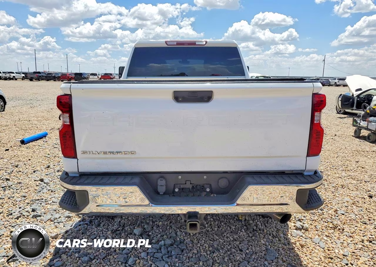 2020 Chevrolet Silverado K2500 Heavy Duty VIN:1GC4YLE74LF146923 - 6