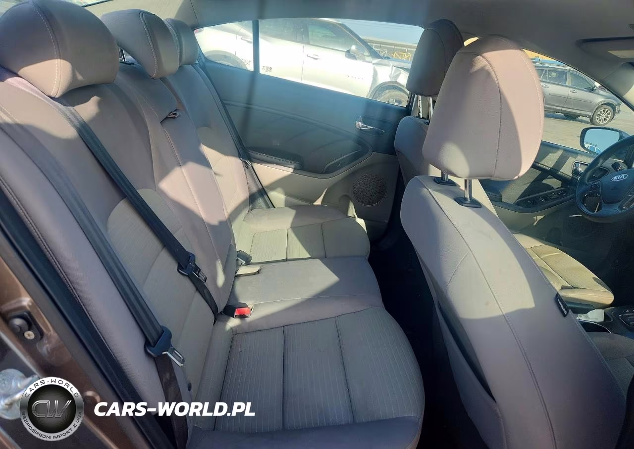 2014 Kia Forte Lx VIN:KNAFX4A67E5089380 - 10