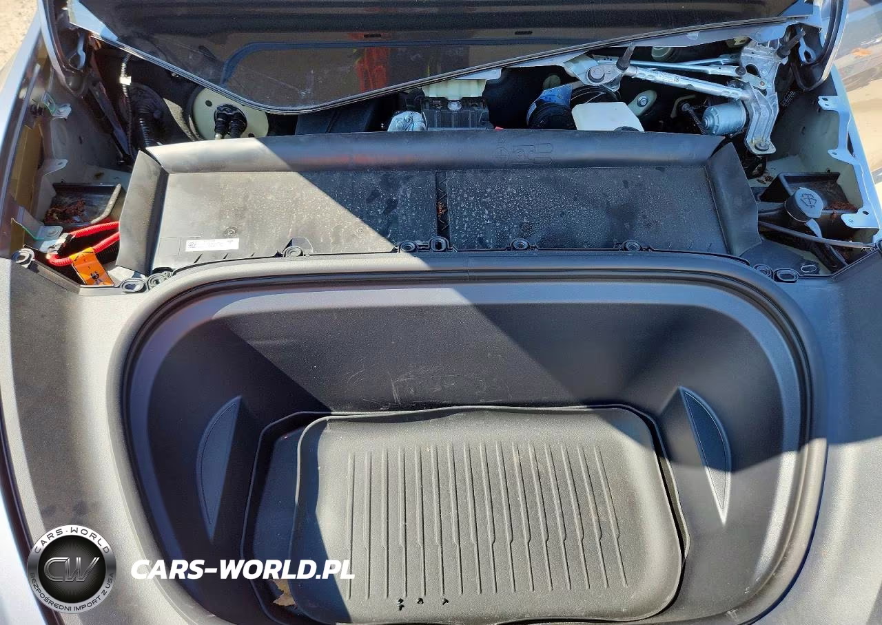 2024 Tesla Model Y VIN:7SAYGDEE1RF202194 - 11
