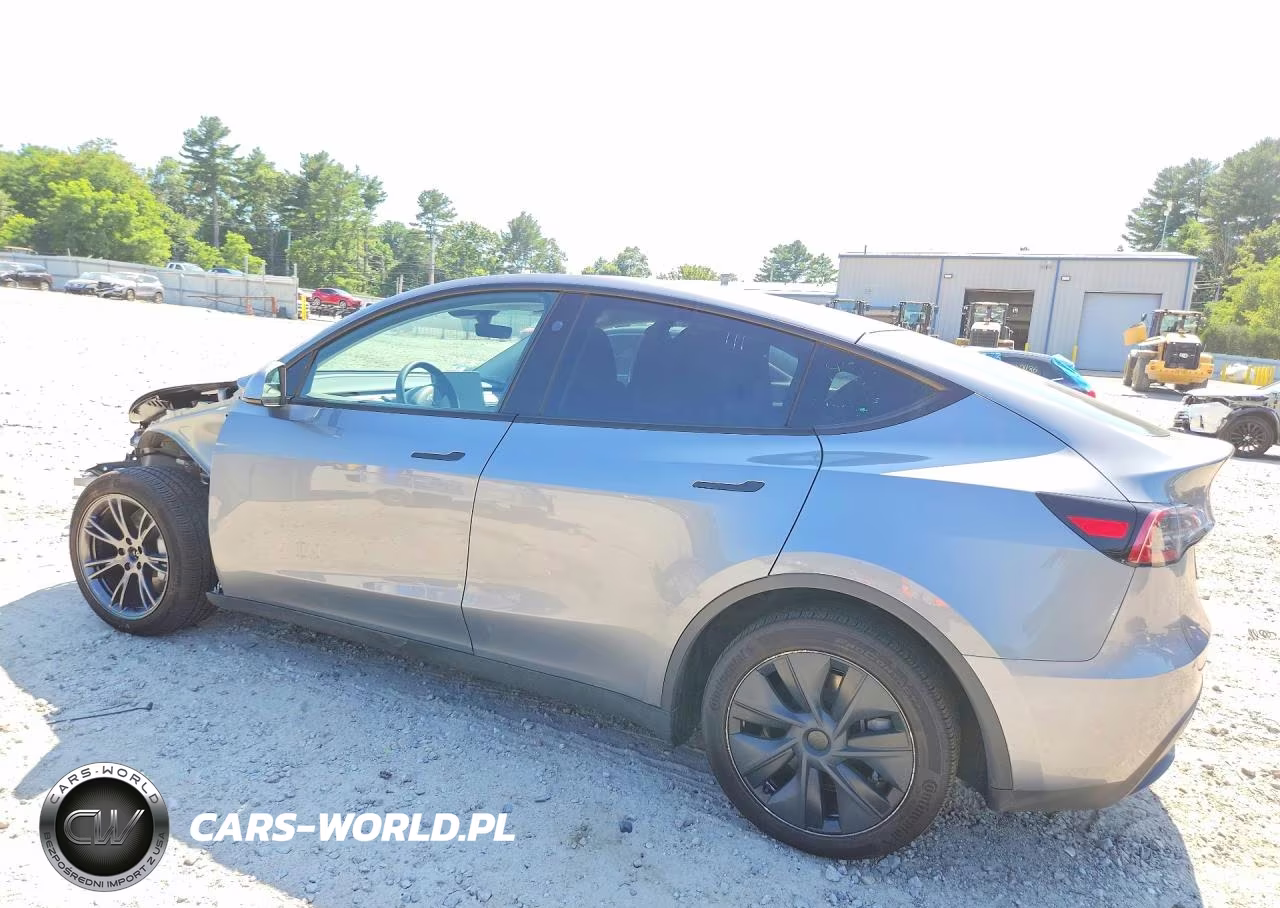 2024 Tesla Model Y VIN:7SAYGDEE1RF202194 - 2