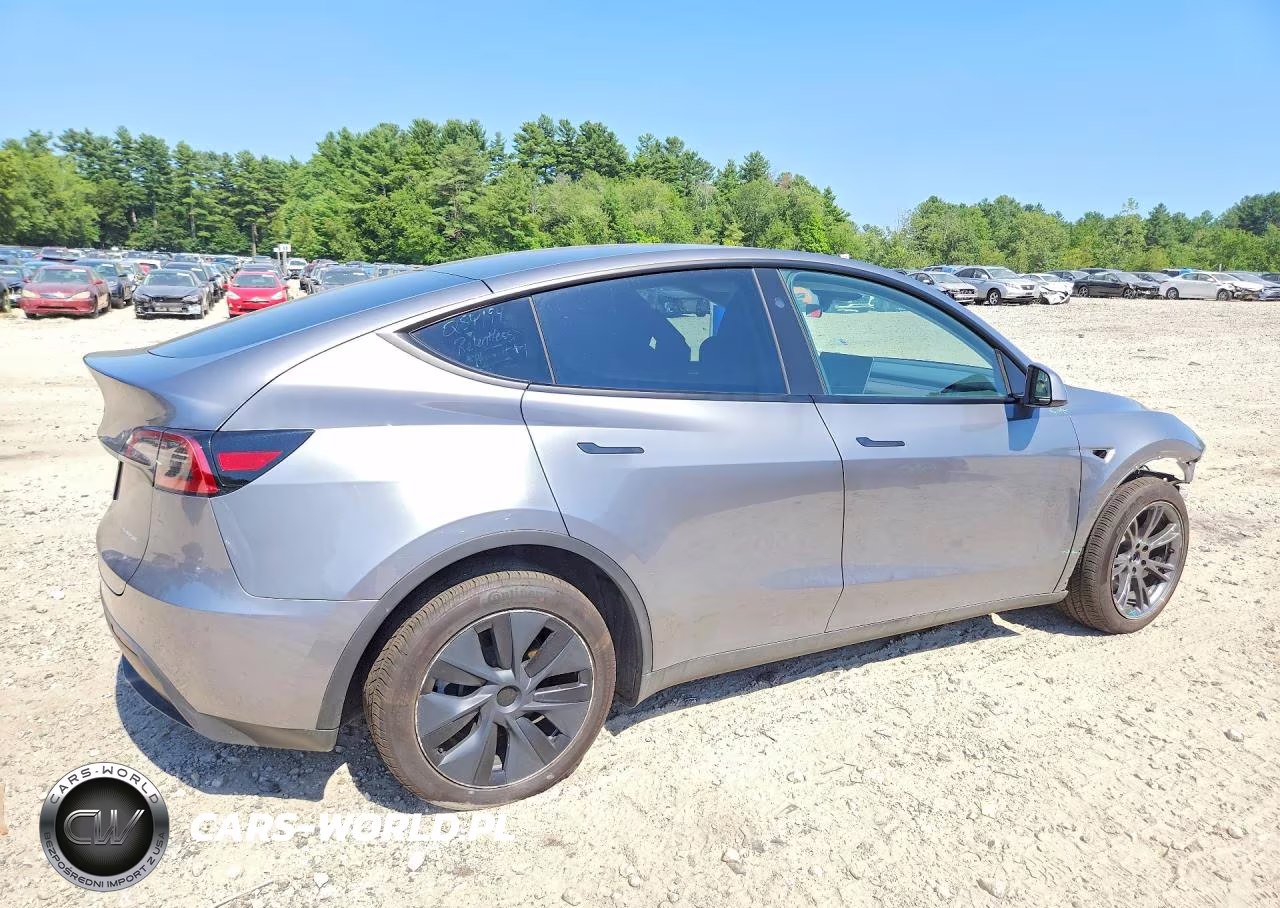 2024 Tesla Model Y VIN:7SAYGDEE1RF202194 - 3