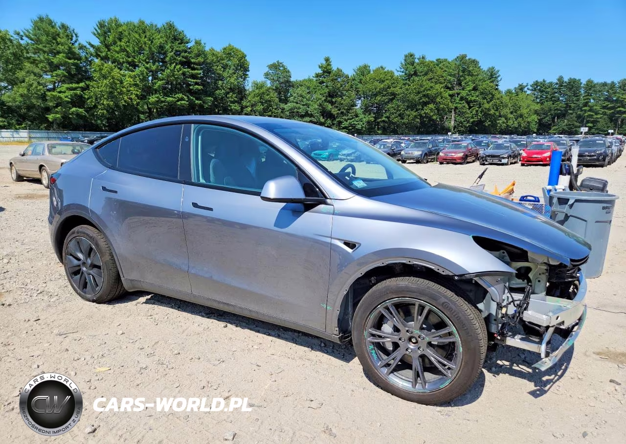 2024 Tesla Model Y VIN:7SAYGDEE1RF202194 - 4