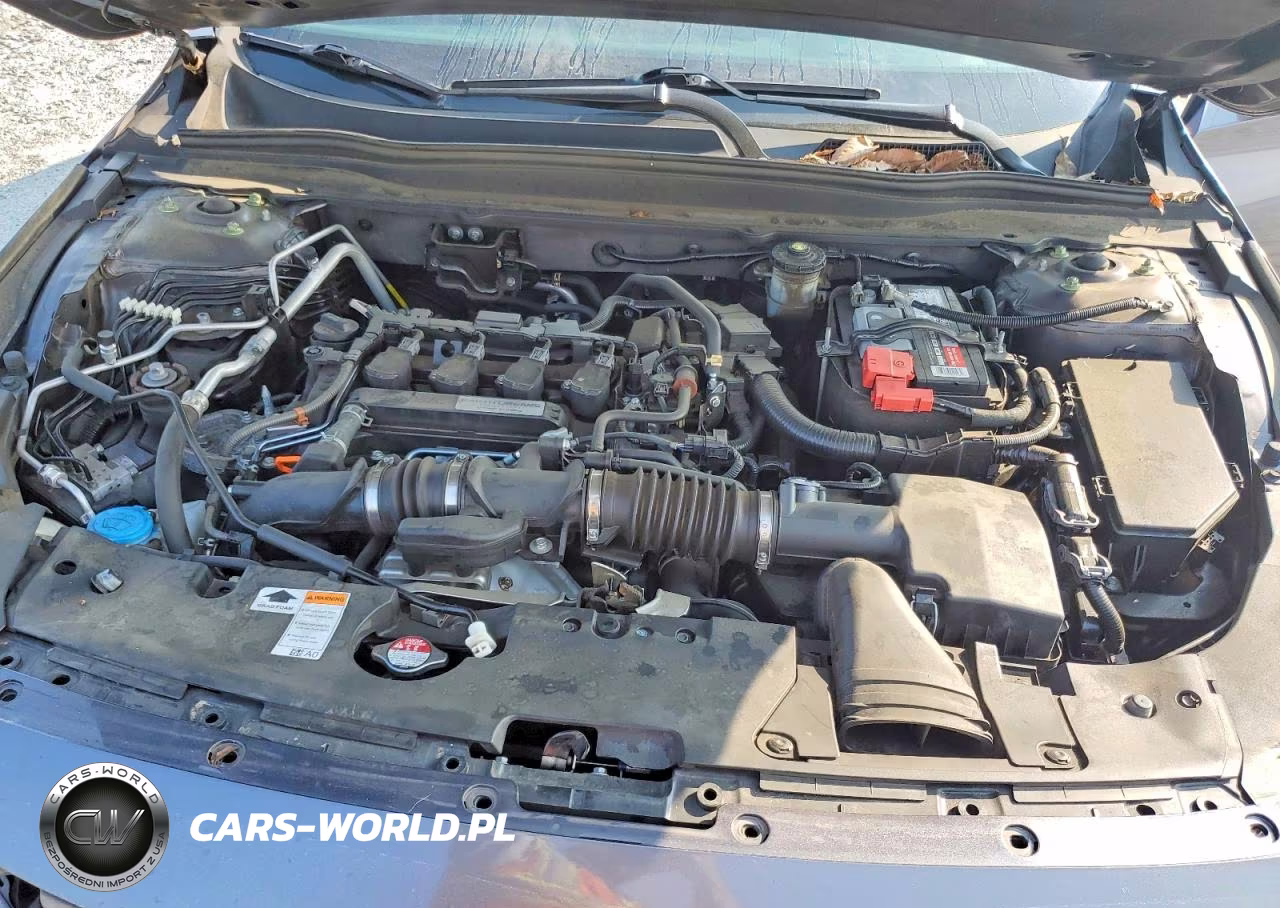 2019 Honda Accord Lx VIN:1HGCV1F13KA008046 - 11