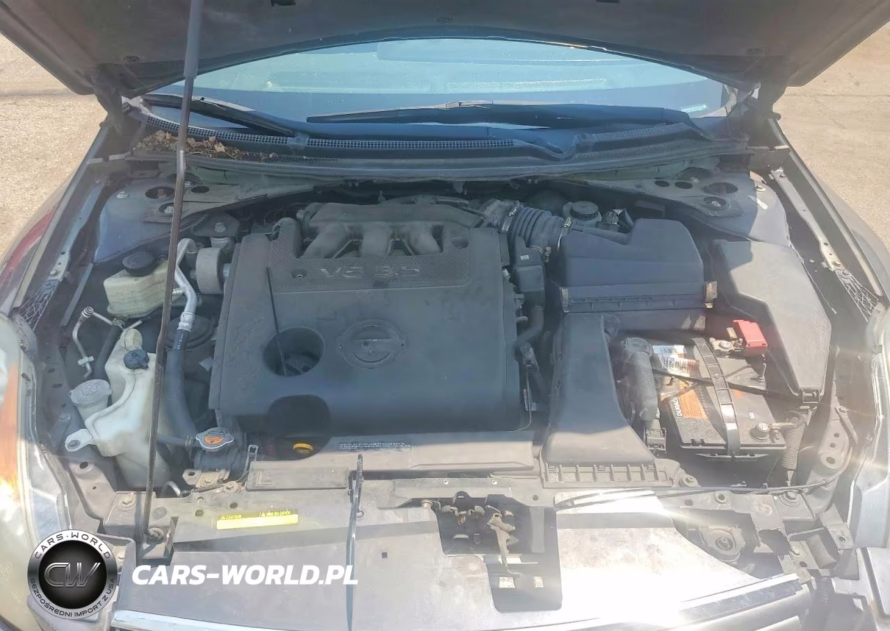 2009 Nissan Altima 3.5 Se VIN:1N4BL21E49N443859 - 11