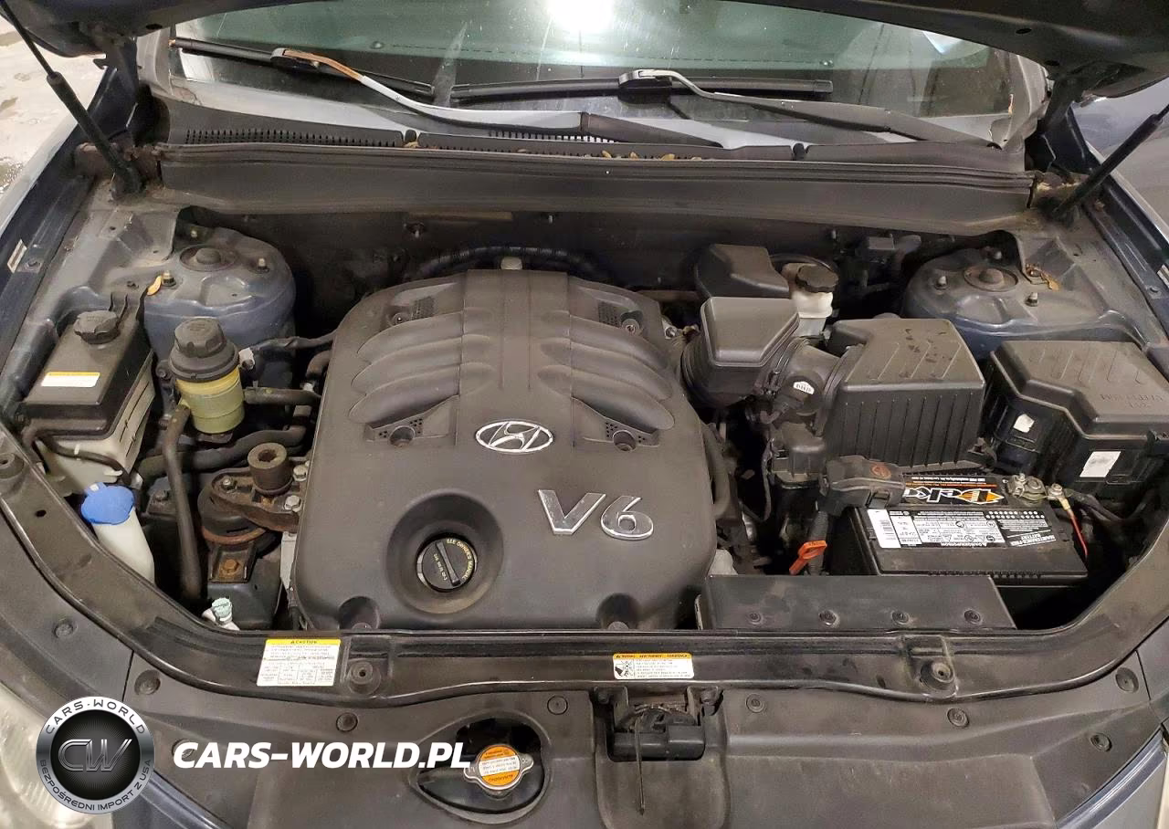 2008 Hyundai Santa Fe Se VIN:5NMSH73E88H135157 - 12