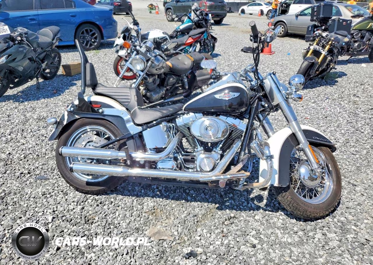 2005 Harley-Davidson Flstni VIN:1HD1JDB185Y071520 - 1