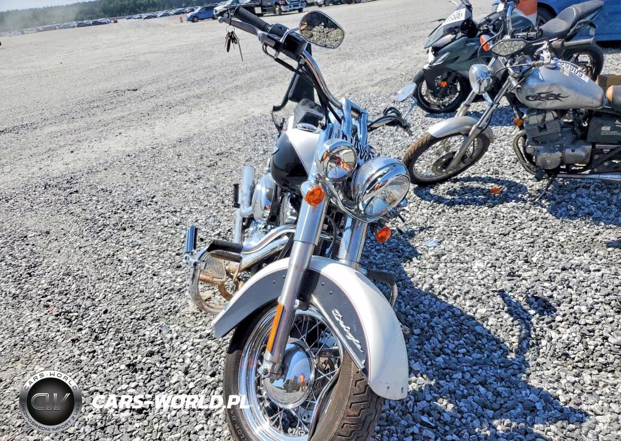 2005 Harley-Davidson Flstni VIN:1HD1JDB185Y071520 - 2