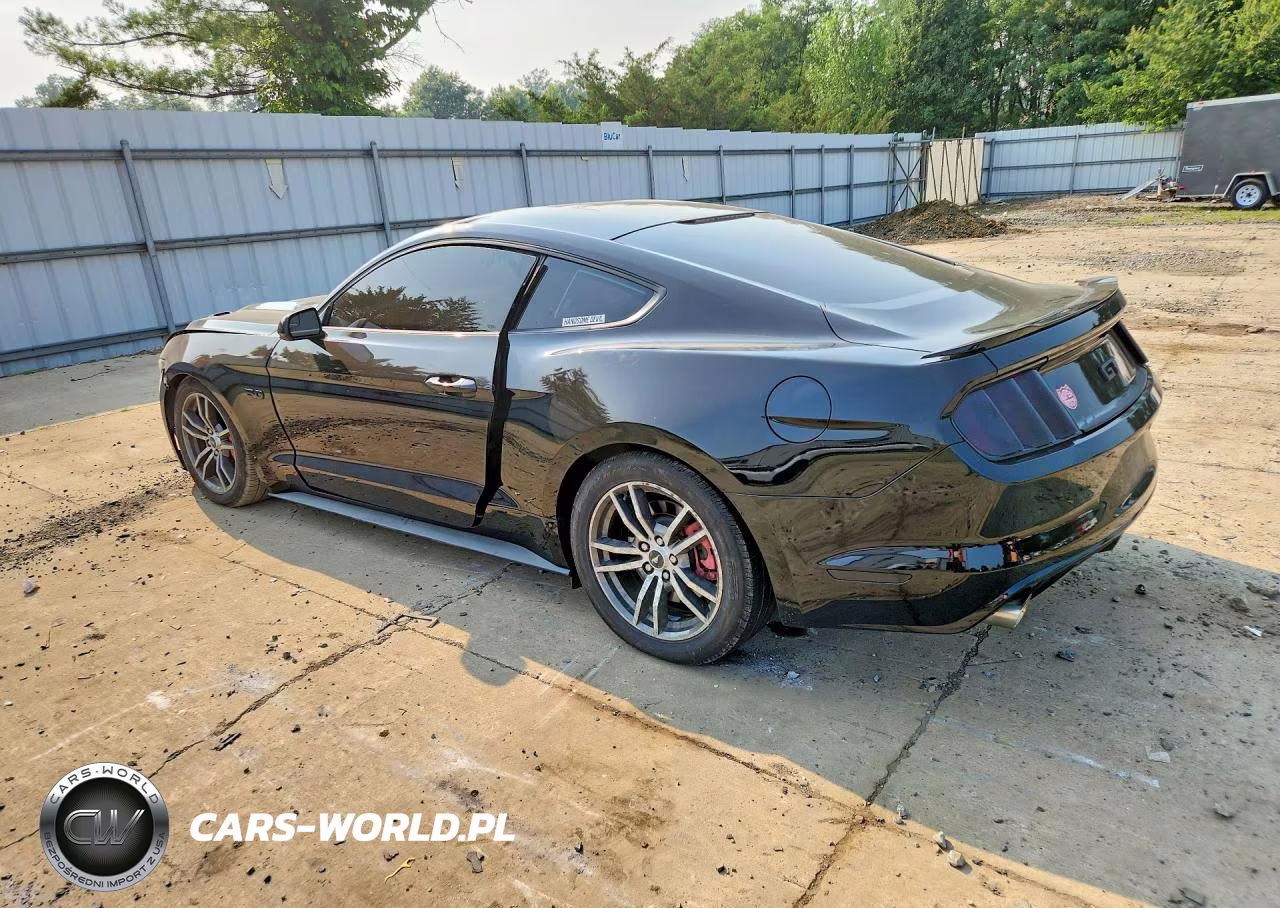 2015 Ford Mustang Gt VIN:1FA6P8CF2F5331734 - 2